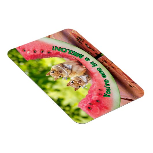 Magnet Flexible Chipmunks mangeant de la pastèque (Côté Droit)