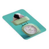 Magnet Flexible Chippon français (Côté Droit)