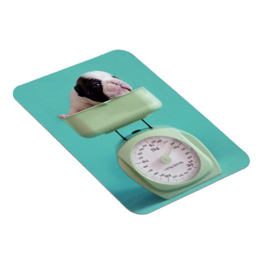 Magnet Flexible Chippon français (Côté Droit)