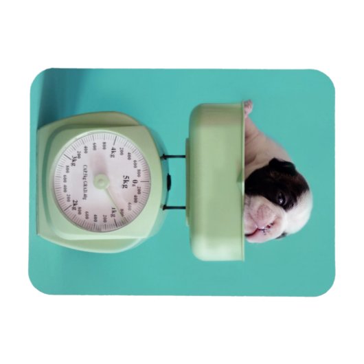 Magnet Flexible Chippon français (Horizontal)