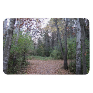 Magnet Flexible Choisissez votre chemin