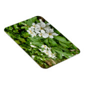 Magnet Flexible Choisya Ternata (Côté Droit)