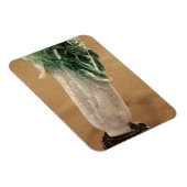 Magnet Flexible Chou chinois, coréen, 19ème siècle (jade) (Côté Droit)