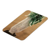 Magnet Flexible Chou chinois, coréen, 19ème siècle (jade) (Côté Gauche)