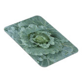 Magnet Flexible Chou vert, Feuilles d'en haut (Côté Droit)