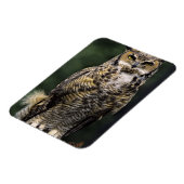 Magnet Flexible Chouette à cornes (Bubo virginianus), corps comple (Côté Gauche)
