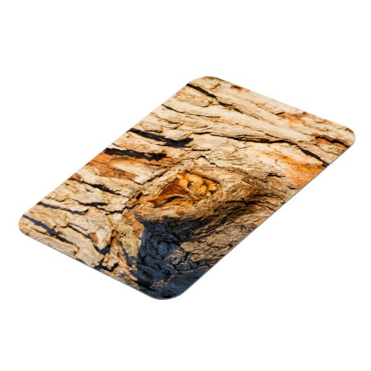 Magnet Flexible Chouette à cris de l'Est (Côté Gauche)