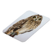 Magnet Flexible Chouette à oreilles courtes sur un poteau de clôtu (Côté Gauche)