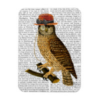 Chouette avec Casquette Bowler style Steampunk