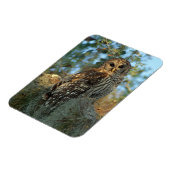 Magnet Flexible Chouette barrée dans une mousse espagnole (Côté Gauche)