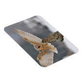 Magnet Flexible Chouette de la grange qui atterrit pour atteindre (Côté Droit)