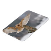 Magnet Flexible Chouette de la grange qui atterrit pour atteindre (Côté Gauche)