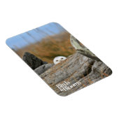 Magnet Flexible Chouette des neiges (Côté Droit)