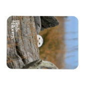 Magnet Flexible Chouette des neiges (Horizontal)