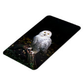 Magnet Flexible Chouette hivernale majestueuse (Côté Gauche)