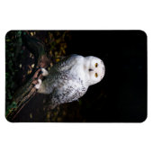 Magnet Flexible Chouette hivernale majestueuse (Horizontal)