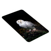 Magnet Flexible Chouette hivernale majestueuse (Côté Droit)