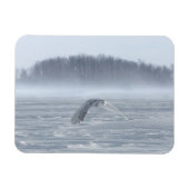Magnet Flexible Chouette Neige Volant En Hiver (Horizontal)