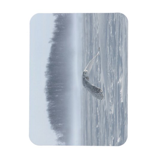 Magnet Flexible Chouette Neige Volant En Hiver (Vertical)