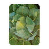 Magnet Flexible Choux (Vertical)