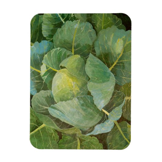 Magnet Flexible Choux (Vertical)