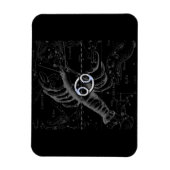 Magnet Flexible Chrome comme Cancer Zodiac Connexion Hevelius (Vertical)