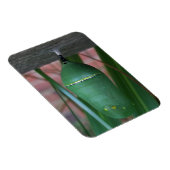 Magnet Flexible Chrysalis de la photographie papillon Monarque (Côté Droit)