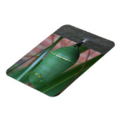 Magnet Flexible Chrysalis de la photographie papillon Monarque (Côté Gauche)