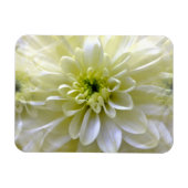 MAGNET FLEXIBLE CHRYSANTHEMUM (Horizontal)