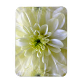 MAGNET FLEXIBLE CHRYSANTHEMUM (Vertical)