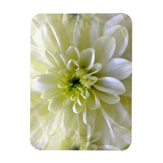 MAGNET FLEXIBLE CHRYSANTHEMUM (Vertical)