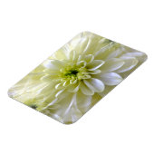 MAGNET FLEXIBLE CHRYSANTHEMUM (Côté Gauche)