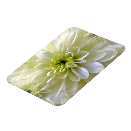MAGNET FLEXIBLE CHRYSANTHEMUM (Côté Gauche)