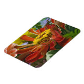 Magnet Flexible Chrysanthemum flower (Côté Gauche)