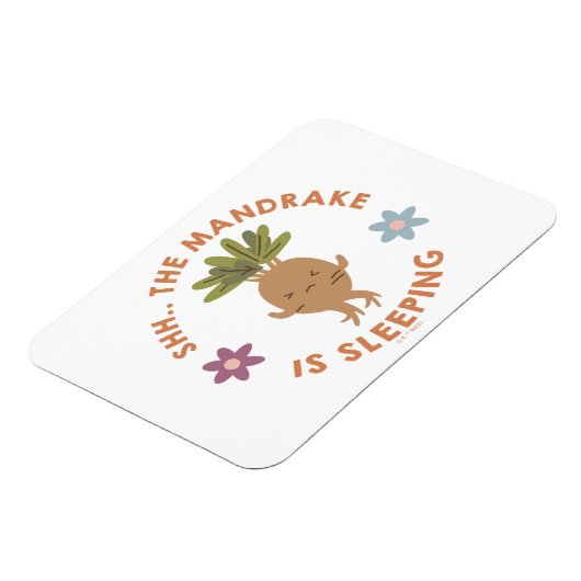 Magnet Flexible Chut... Le Mandrake Dort (Côté Gauche)