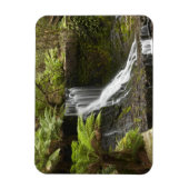 Magnet Flexible Chutes de Horseshoe, parc national Mount Field, (Vertical)