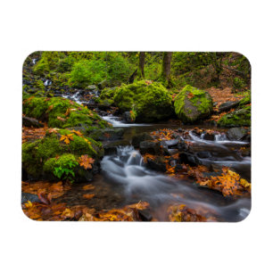 Magnet Flexible Chutes de Starvation Creek Columbia Gorge, Orego