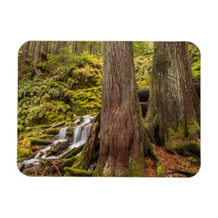 Magnet Flexible Chutes de White Branch, Cascades de l'Oregon, Oreg
