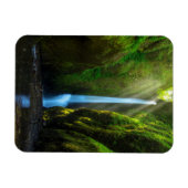 Magnet Flexible Chutes d'Oneonta (Horizontal)