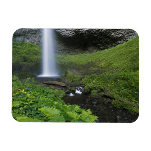 Magnet Flexible Chutes Latourell, Gorge du Columbia, Oregon,