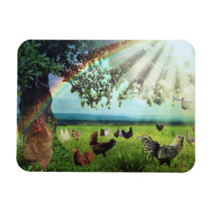 Magnet Flexible Ciel de poulet