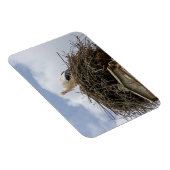 Magnet Flexible cigogne blanche dans le nid (Côté Droit)