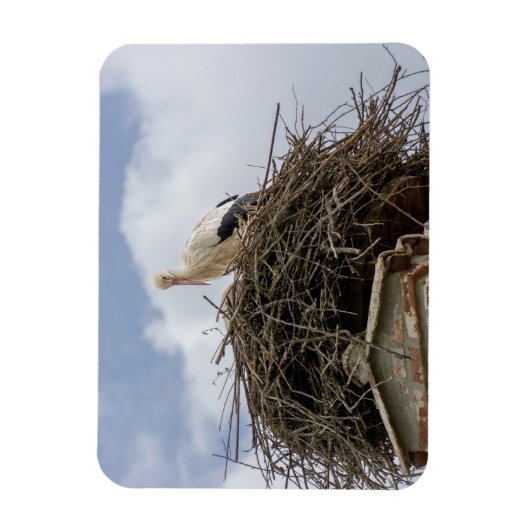 Magnet Flexible cigogne blanche dans le nid (Vertical)