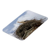 Magnet Flexible cigogne blanche dans le nid (Côté Gauche)