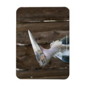 Magnet Flexible Cigogne marabou (Vertical)