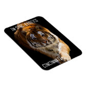 Magnet Flexible Cincinnati Tiger - (Côté Droit)