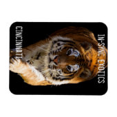 Magnet Flexible Cincinnati Tiger - (Horizontal)
