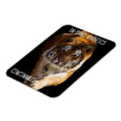 Magnet Flexible Cincinnati Tiger - (Côté Gauche)
