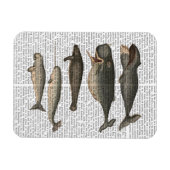 Magnet Flexible Cinq baleines Vintages (Horizontal)
