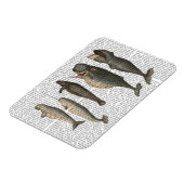 Magnet Flexible Cinq baleines Vintages (Côté Gauche)